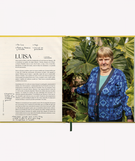 Recetas en Papelitos por Sofía Pachano