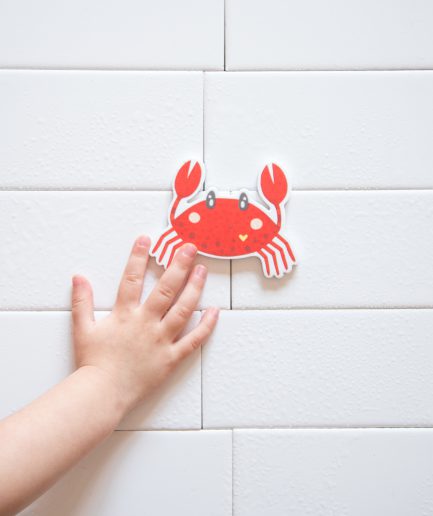 Animales para el Agua (oceano)