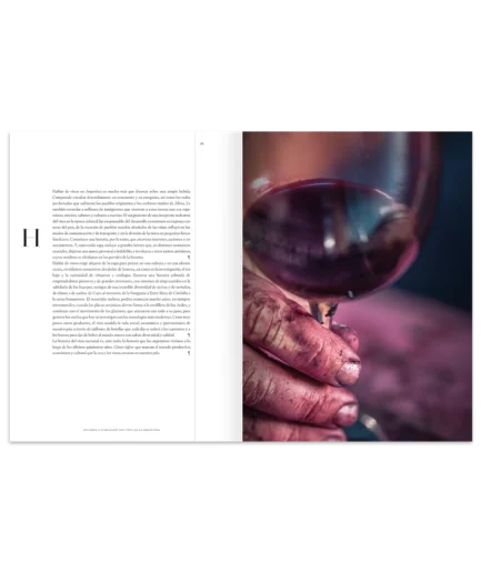 El gran libro del vino argentino