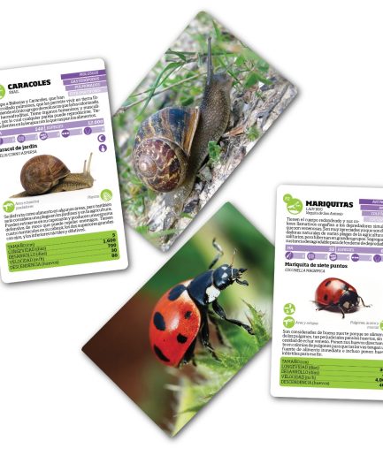 Luminias Clap! - Enciclopedia de Bichos