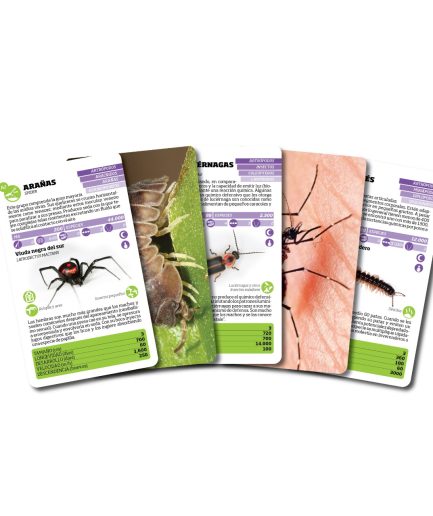 Luminias Clap! - Enciclopedia de Bichos