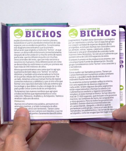 Luminias Clap! - Enciclopedia de Bichos