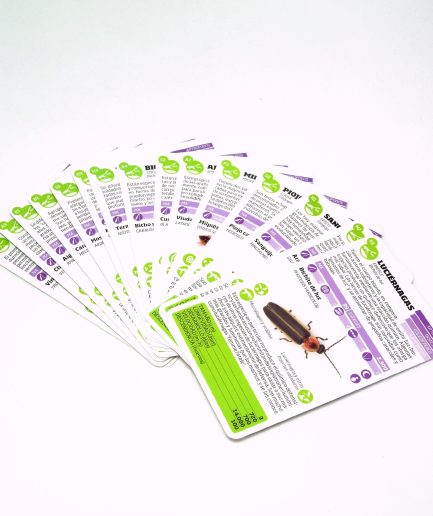 Luminias Clap! - Enciclopedia de Bichos