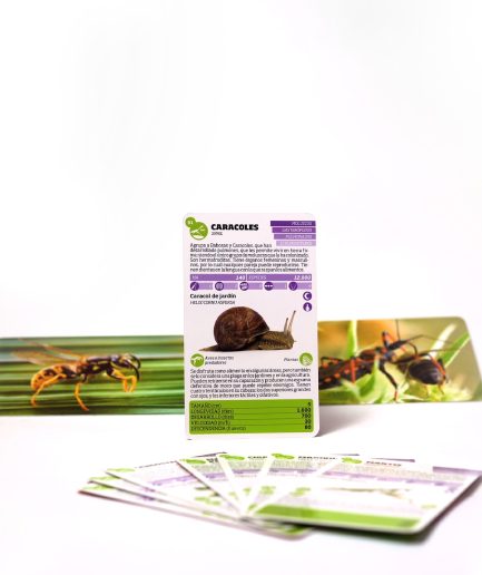 Luminias Clap! - Enciclopedia de Bichos