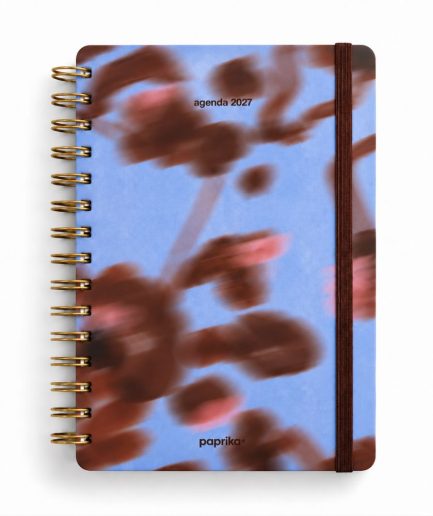Agendas 2027