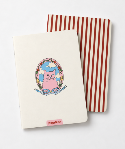Pack de 2 libretas