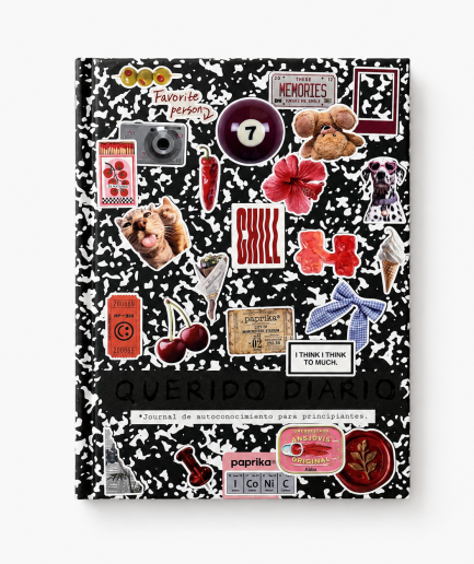 JOURNAL QUERIDO DIARIO 14x19
