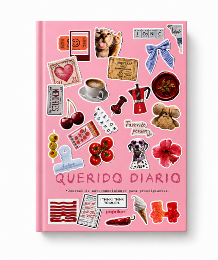 JOURNAL QUERIDO DIARIO 14x19