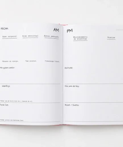 JOURNAL QUERIDO DIARIO 14x19