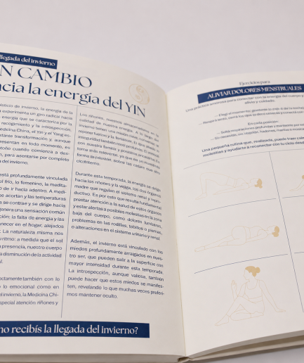 Mindful Journal