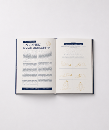 Mindful Journal