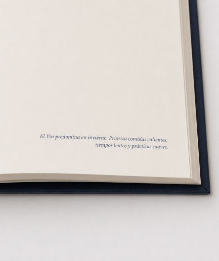 Mindful Journal