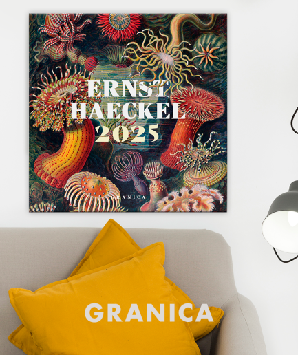 Calendarios de pared