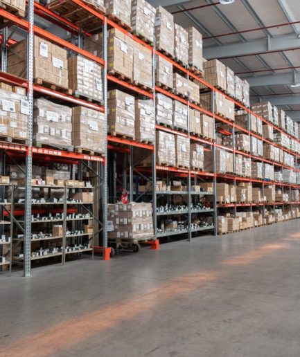 Interbook - Nuestras plantas