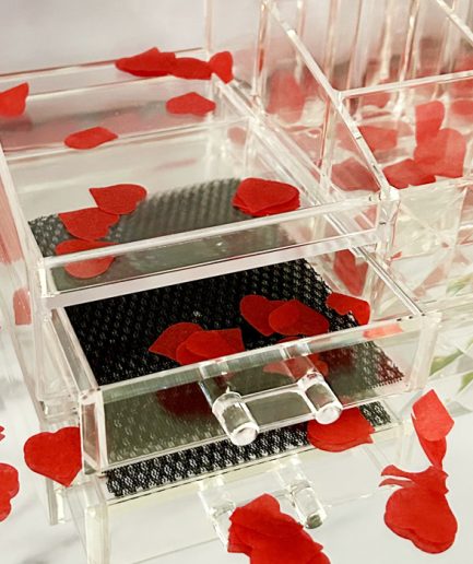 Organizador integral EL CAIRO