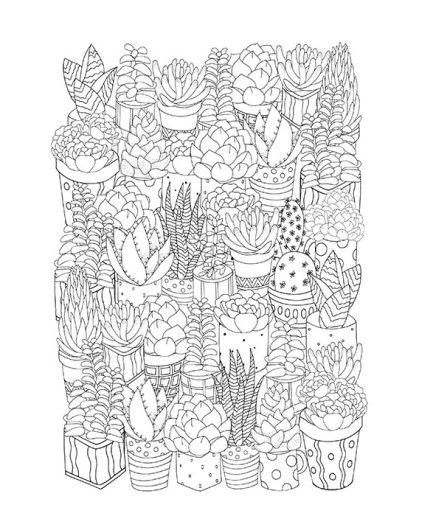 Libro Arte Terapia colorear ARTE BOTÁNICO