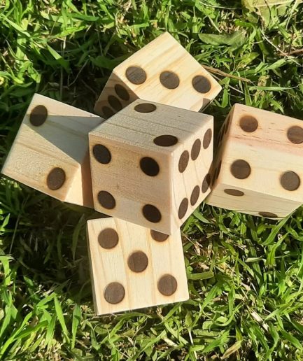 Juego de Dados Didácticos