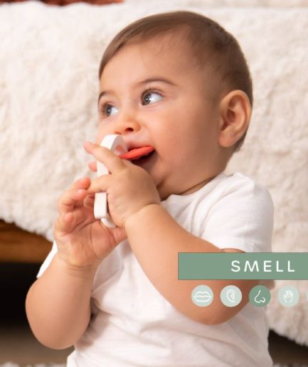 Anillo de fragancias