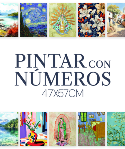 Pintando con Números 47x57cm - Las Lupes